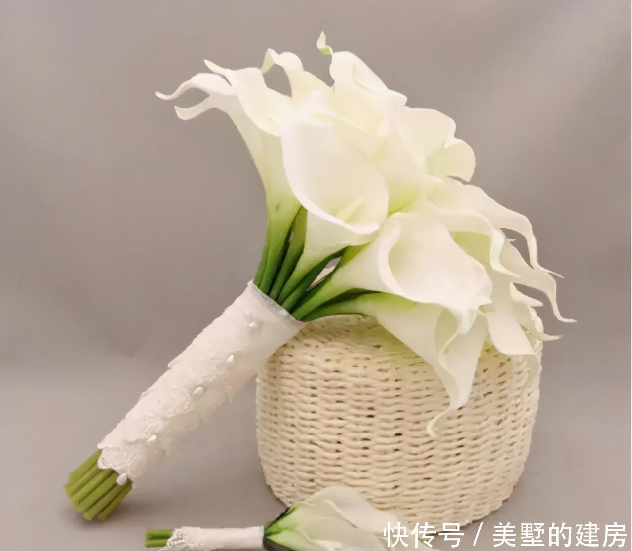 马蹄莲|4种花是婚礼常见花,随便选一种都好看,开了浪漫又唯美