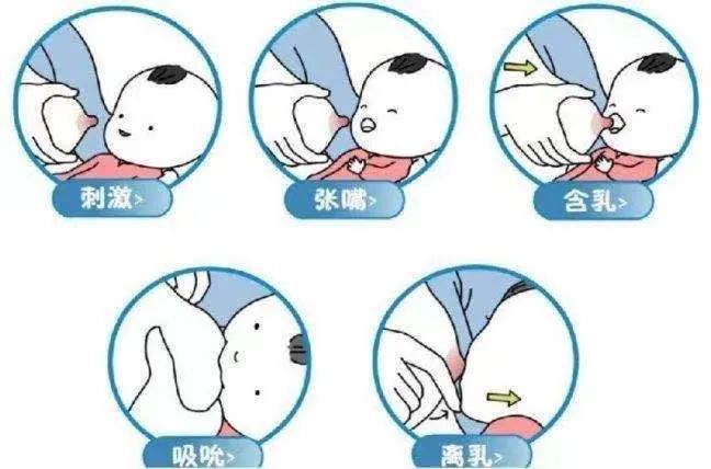 乳房|正确的母乳喂养姿势,让我们一起“喂”爱坚持!