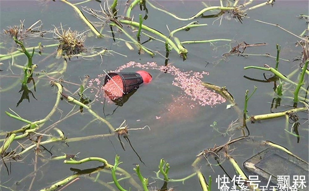 冬钓久等不见发窝,是打窝手法的问题,换个方法,聚鱼效果翻倍