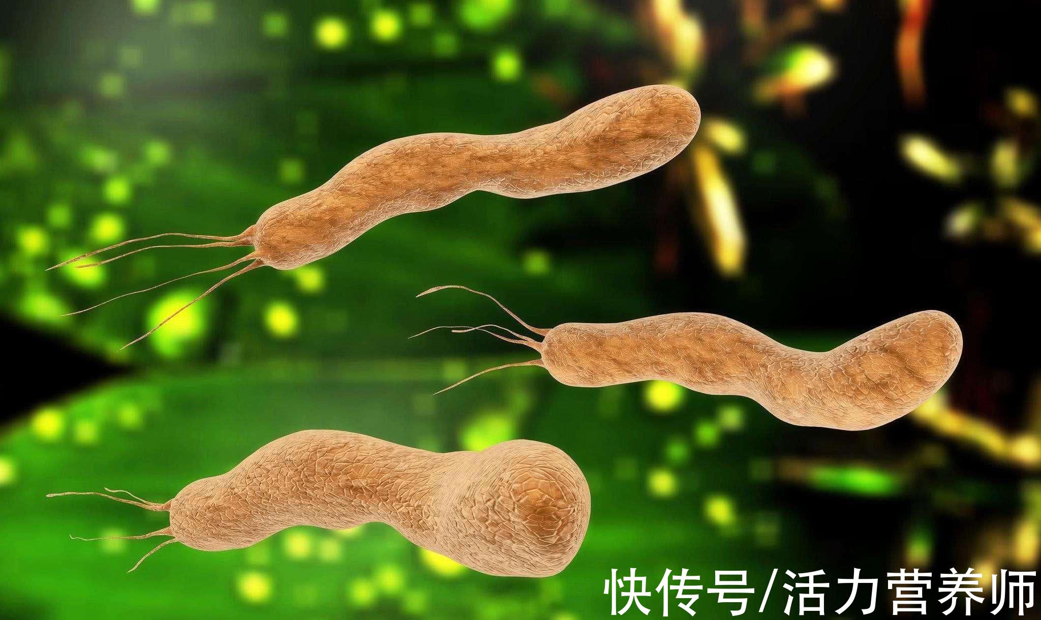 癌症|2020年癌症调查数据：新发胃癌患者48万，想要远离坚持4个习惯