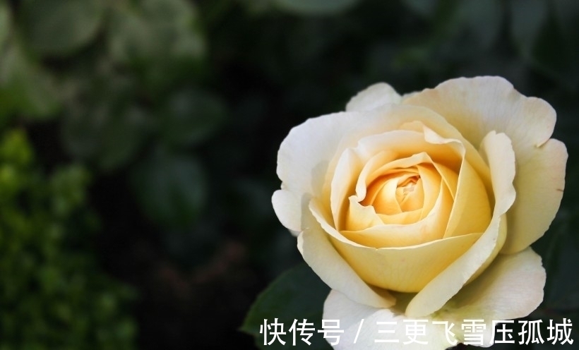 鸿运|国庆节前后,鸿运当头,3星座财源广进,事业风生水起,福禄双全