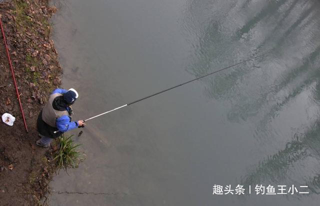 饵料|别再抱怨冬季钓不到鱼,掌握3个秘诀,让你初冬钓鲫鱼钓到手软