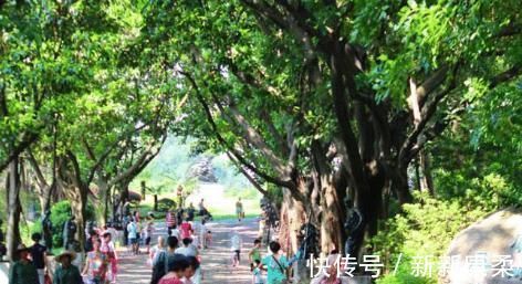 旅游|2座中国最值得旅游的城市当地人不屑宰客，游客去了还想去