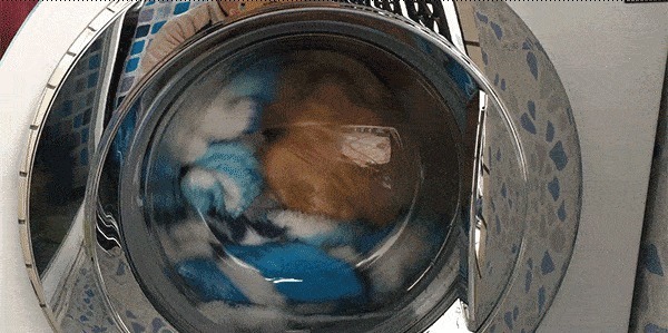 洗衣服直接倒洗衣液错,告诉你正确做法,洗完比新衣服还新