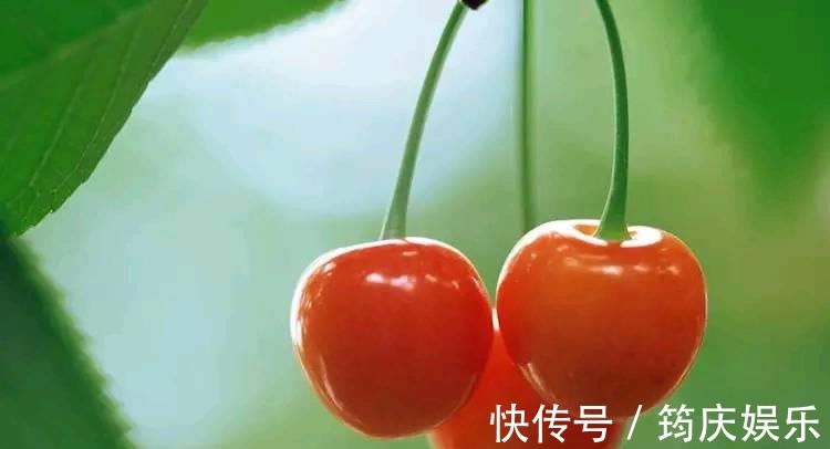 血浆蛋白量|女性想要皮肤好,常吃3种食物,美容养颜,减脂瘦身、甩掉大肚子