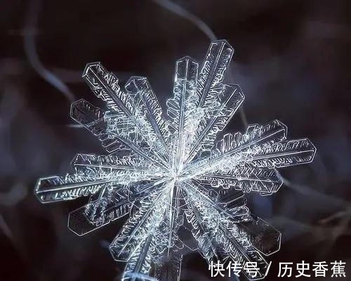 果冻|世界上的47个冷知识,您知道几个?
