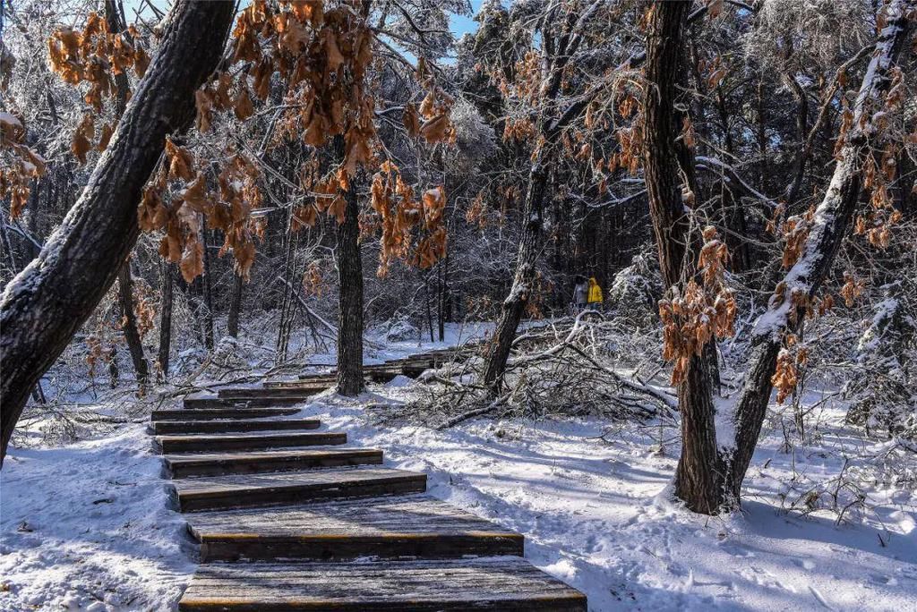 心间|净月潭的雪，美在山川，暖在心间！