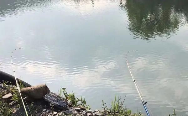 夏季钓黄颡鱼,这两种钓法很实用,钓法得当,渔获差不了