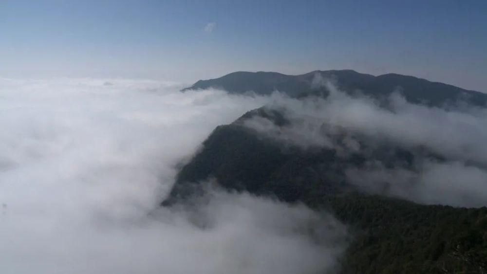 情结|云海与雪景、雾凇齐聚,惊艳了鸡足山的冬天!