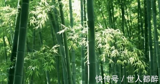 经典#经典对联！上联“六木森森，松柏梧桐杨柳”，下联太经典了！