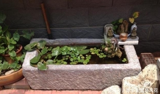 你家|农村里最珍贵的老古董,尤其第三件,价值几十万,你家可能就有