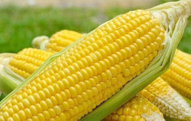 4种“碱性食物”经常吃,排出体内毒素,给血管“洗个澡”!