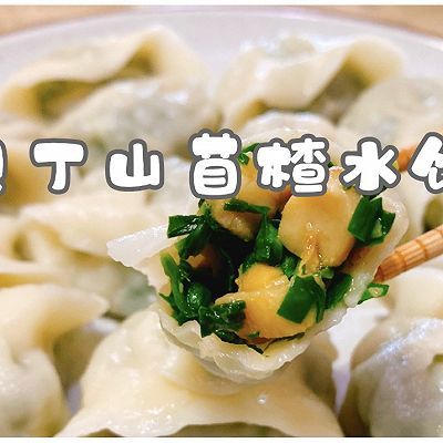 韭菜|贝丁山苜楂水饺