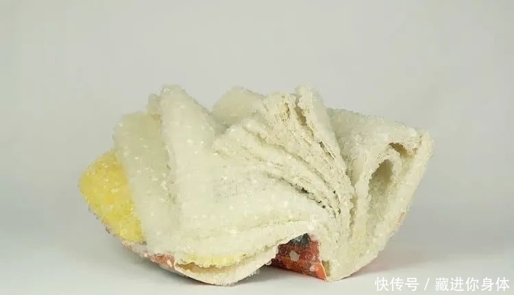 书本&她创作雕塑时“开挂”了:把书丢进水里,等2天作品就完成了