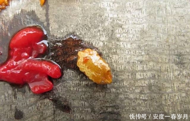 甜蜜|据说它是苦瓜的亲戚,却比苦瓜美味甜蜜得多!