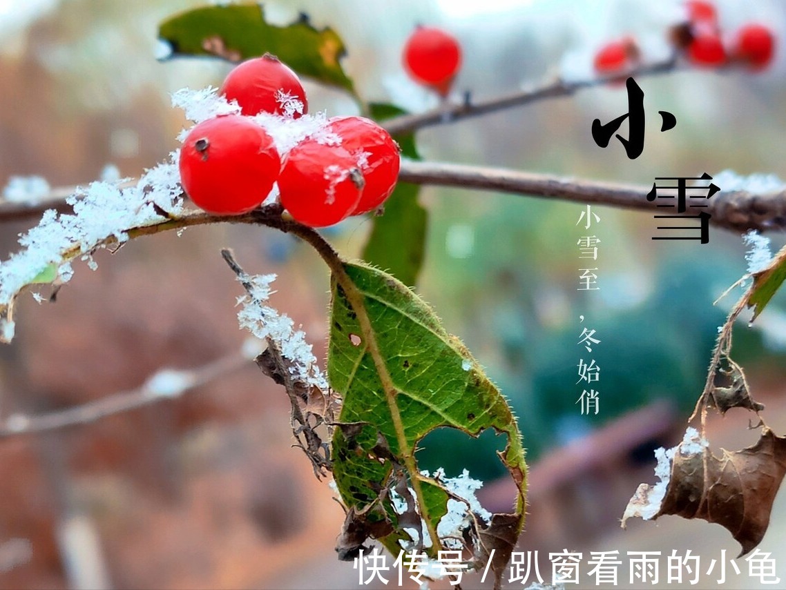 小雪|小雪将至，御寒保暖是关键，多吃这5种食材，营养滋补，一冬无病