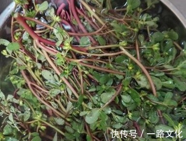 营养价值|天热,这3种野菜要多吃,比买的营养高,清肠消暑还补钙!
