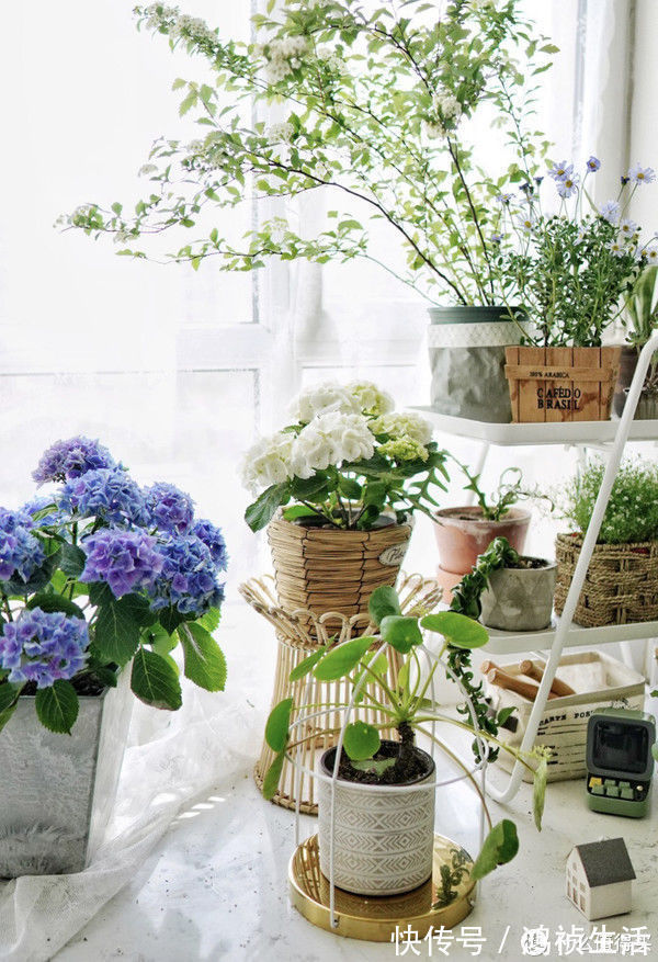 房子|房子住了5年才发现,当初这些决定有多明智,太有幸福感了