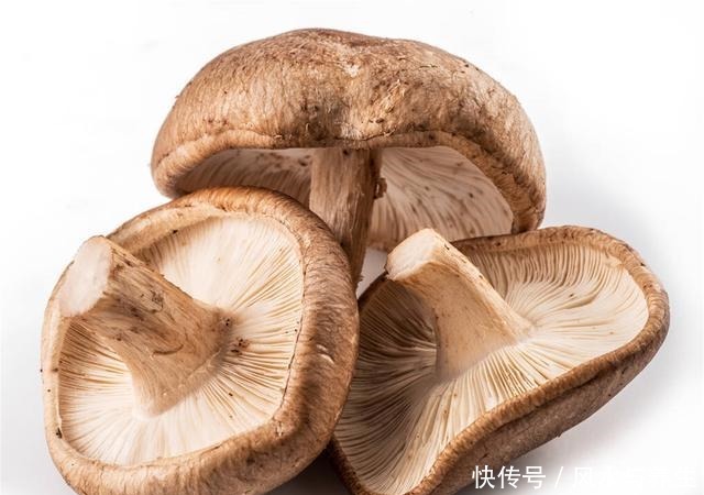 买香菇,挑大的还是小的牢记“3买3不买”,谁也不敢忽悠你!