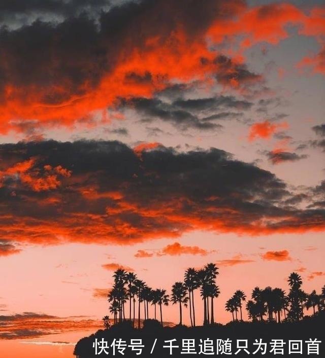 如梦初醒|触动灵魂的小句子精辟犀利,总有几句让你如梦初醒!