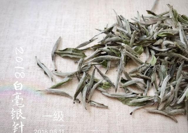 味道|日常知识科普,老白茶味道淡些好,还是浓些好?