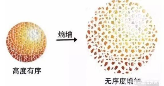 熵增定律 万物皆有生死,到底是谁掌握了这个规律?