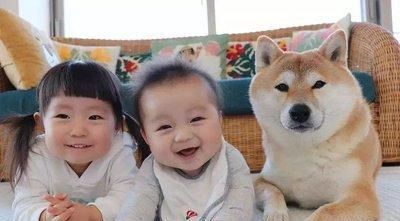 小张刚|'我是姐姐不是妈',女儿拒绝抚养亲弟弟,遭父母告上法庭