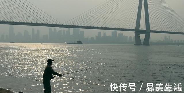 钓白条有技巧,并不是使用腥饵那么简单,想钓得好这几点尤为重要