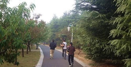 骨科大夫|骨科大夫:不论男女,50岁后,3项运动不宜多做,太毁膝盖