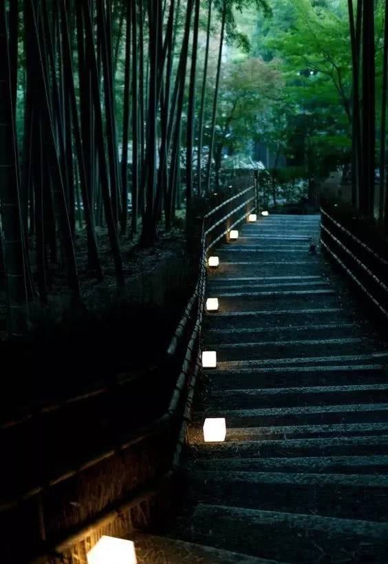 庭院|愿得一庭院,只用来喝茶