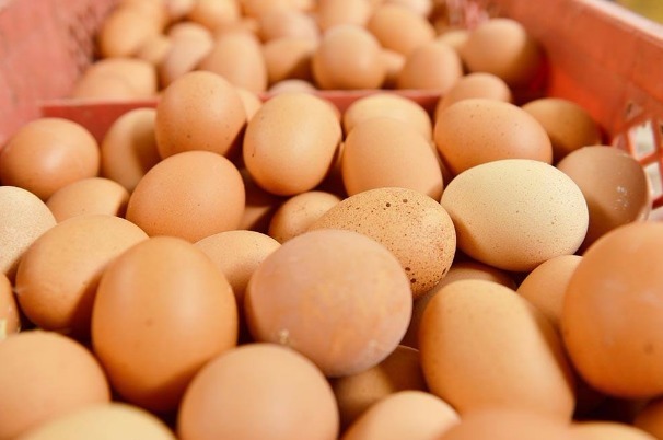 大脑|大脑最爱的食物，居然不是核桃！补脑第一名是它！完全没想到