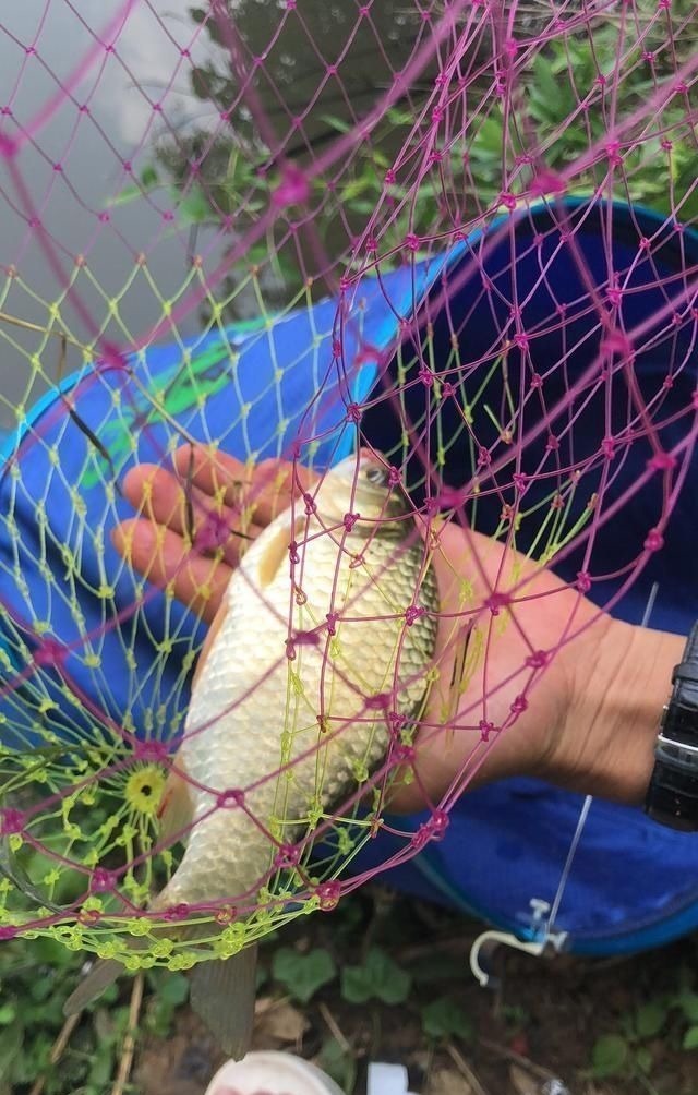 饵料|夏天大板鲫都藏在这些地方,方法用对就可以钓到