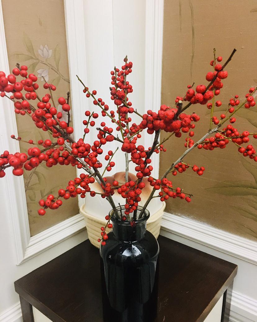 10种“旺运花”开花红艳艳,现在养一盆,春节刚好开,红火显富贵