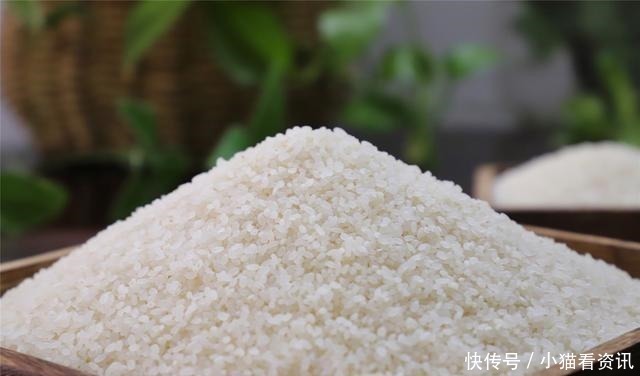 学会大米的正确储存方法,放一年都不生虫不发霉,简单又实用