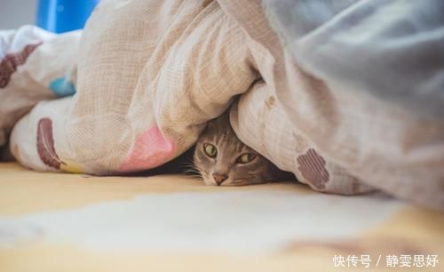 大雪过后天更寒,亦是疾病高发期!6个防寒方法,助你安然过冬!