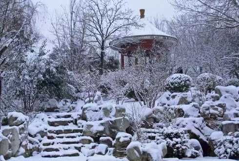 冬思|大雪节气冬思浓