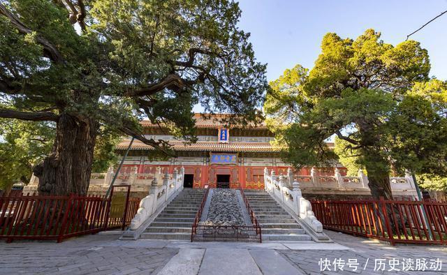 孔子|北京中心的这片古建群，比故宫还早100年，紫藤花开美不胜收