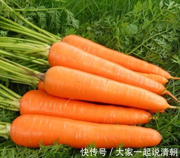 蓝莓|胡萝卜配上此物，男女多吃，可预防重度近视，增进视力，早食早好