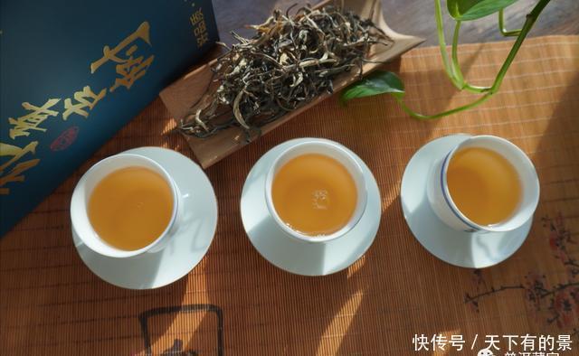 古树纯料|深度解析!纯料与拼配之争,哪个更好?