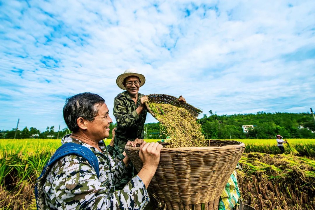 假期|景区免门票！广元国庆假期最好玩的活动清单全在这儿！玩转7天不重样