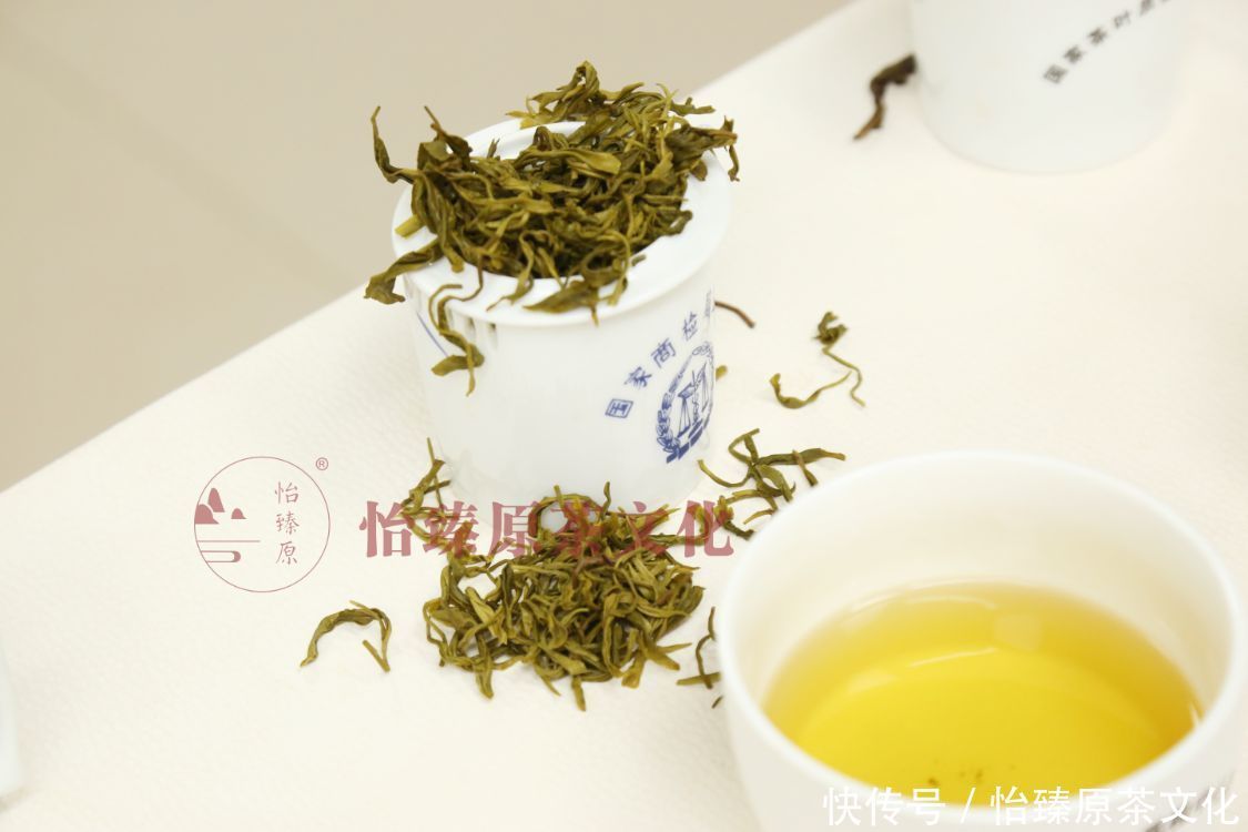 清热解毒|你的体质适合喝什么茶？夏日到来，一起来学会喝茶