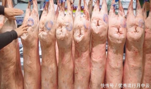 鲜嫩|挑选羊肉时,切记“4买3不买”,肉质鲜嫩膻味小,懂行才知道