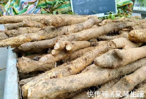 粗细|买山药,挑粗的还是细的?学会这3招,优质山药轻松拿下!