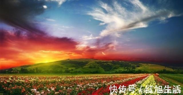 善报@厚道之人,必有厚福,善良之人,必有善报!