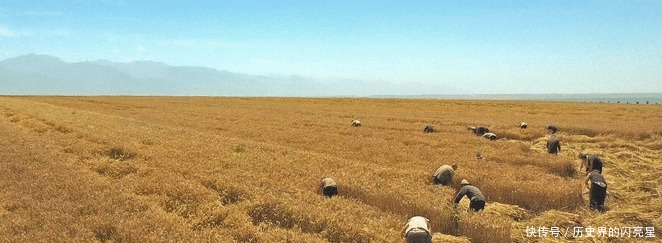 白姓|小说是一个民族的秘史!白鹿原的故事并不遥远!