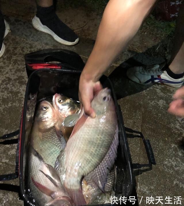 小鱼|如何判断窝里有没有鱼进窝有信号，这三种情况果断走人