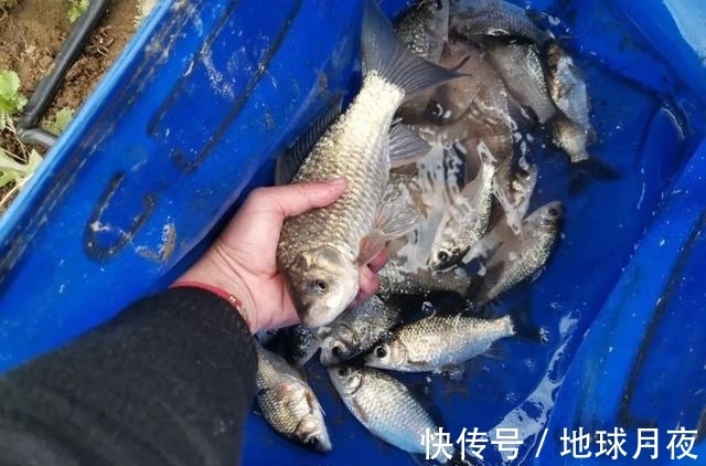 野钓屡屡空军绝非偶然,从这3个方面找原因,打破空军魔咒