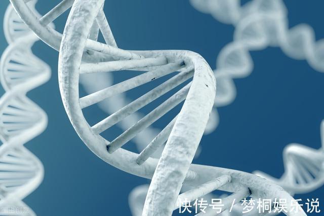 肾素|高血压吃沙坦药无效？真有可能是选错了药！换成这2种，迅速降压