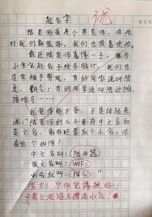 脑洞大开!小学生作文《委屈》火了,脑洞大开的内容让成年人甘拜下风