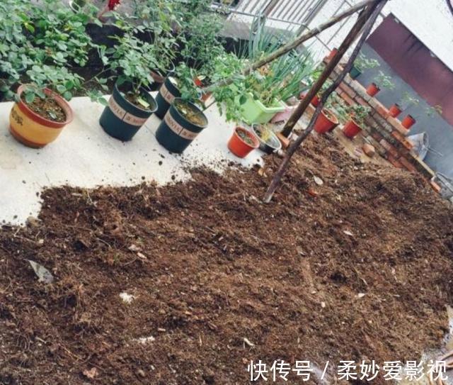 透水|养花营养土不用买,4种材料搭配起来,松软又肥沃,养啥花都旺